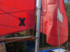 PXL_20221203_110303622-Copy