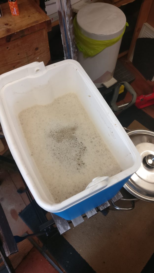 First All Grain Brew