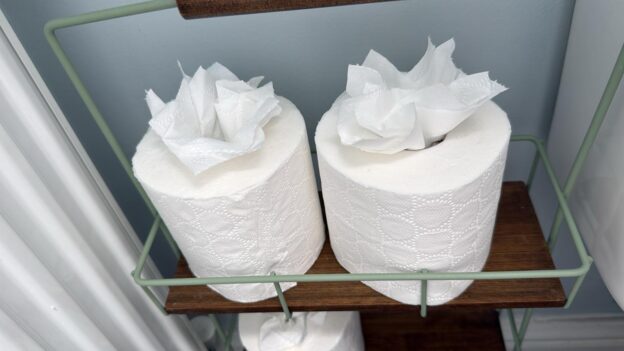 Folds and Flowers by Alice